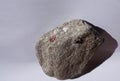 Raw garnet, semi-precious stone on rock Royalty Free Stock Photo