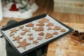 Raw gingerbread cookies in festive shapes on baking tray on rustic table with holiday decorations at christmas tree. Making Royalty Free Stock Photo