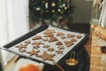 Raw gingerbread cookies in festive shapes on baking tray on rustic table with holiday decorations at christmas tree. Making Royalty Free Stock Photo