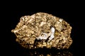 Raw golden iron pyrite mineral stone in front of black background