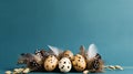 Raw of golden quail eggs and quail feathers on blue background. Beautiful modern minimalistic Easter composition-enhance Royalty Free Stock Photo