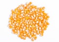 Raw golden sweet corn popcorn grain seeds
