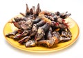 Raw goose barnacles close up on yellow plate on white background Royalty Free Stock Photo