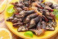 Raw goose barnacles close up on yellow plate on wooden table Royalty Free Stock Photo