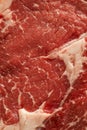 Raw Grass Fed Boneless Ribeye Steak Royalty Free Stock Photo