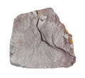 raw gray Hematite (iron ore) rock isolated on white Royalty Free Stock Photo