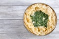 Raw greek spinach feta cheese pie Royalty Free Stock Photo