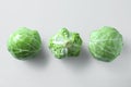 Raw green cabbages on white background, flat lay Royalty Free Stock Photo