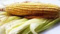 raw green corn pealed closeup image Royalty Free Stock Photo