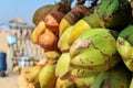 Raw green freshy coconut,Fresh group coconut as a background, green coconuts, fruit,Fresh raw yellow and green coconuts fruits. Royalty Free Stock Photo