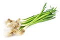 Raw green garlic