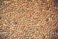 Raw green lentils background Royalty Free Stock Photo