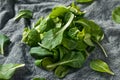 Raw Green Organic Baby Bok Choy Greens