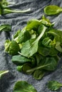 Raw Green Organic Baby Bok Choy Greens