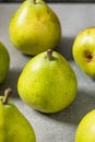 Raw Green Organic Bartlett Pears Royalty Free Stock Photo