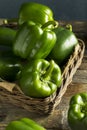 Raw Green Organic Bell Peppers Royalty Free Stock Photo