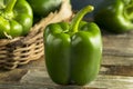 Raw Green Organic Bell Peppers Royalty Free Stock Photo