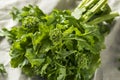 Raw Green Organic Broccoli Rabe Royalty Free Stock Photo