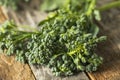 Raw Green Organic Broccolini Royalty Free Stock Photo