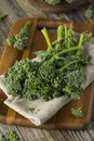 Raw Green Organic Broccolini Royalty Free Stock Photo