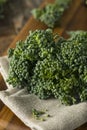 Raw Green Organic Broccolini Royalty Free Stock Photo