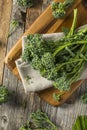 Raw Green Organic Broccolini Royalty Free Stock Photo