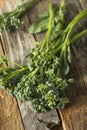 Raw Green Organic Broccolini Royalty Free Stock Photo
