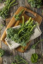 Raw Green Organic Broccolini Royalty Free Stock Photo