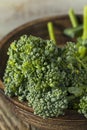 Raw Green Organic Broccolini Royalty Free Stock Photo