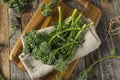Raw Green Organic Broccolini Royalty Free Stock Photo