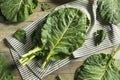 Raw Green Organic Collard Greens Royalty Free Stock Photo