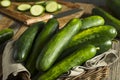 Raw Green Organic Cucumbers Royalty Free Stock Photo