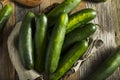 Raw Green Organic Cucumbers Royalty Free Stock Photo