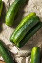 Raw Green Organic Cucumbers Royalty Free Stock Photo