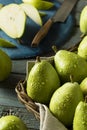 Raw Green Organic Danjou Pears Royalty Free Stock Photo