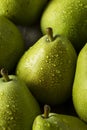 Raw Green Organic Danjou Pears Royalty Free Stock Photo