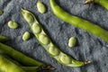 Raw Green Organic Fava Beans