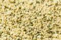 Raw Green Organic Hemp Seeds Royalty Free Stock Photo