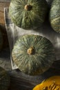 Raw Green Organic Kabocha Squash Royalty Free Stock Photo