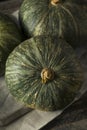 Raw Green Organic Kabocha Squash Royalty Free Stock Photo