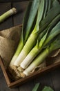 Raw Green Organic Leeks Royalty Free Stock Photo