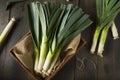 Raw Green Organic Leeks Royalty Free Stock Photo