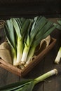 Raw Green Organic Leeks Royalty Free Stock Photo