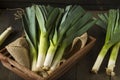 Raw Green Organic Leeks Royalty Free Stock Photo