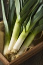 Raw Green Organic Leeks Royalty Free Stock Photo