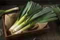 Raw Green Organic Leeks Royalty Free Stock Photo