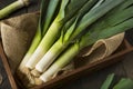 Raw Green Organic Leeks Royalty Free Stock Photo