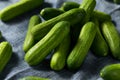 Raw Green Organic Mini Cocktail Cucumbers