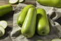 Raw Green Organic Opo Squash Royalty Free Stock Photo