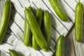 Raw Green Organic Persian Cucumbers